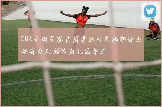 CBA全明星赛首周票选结果揭晓徐杰赵睿分别成为南北区票王