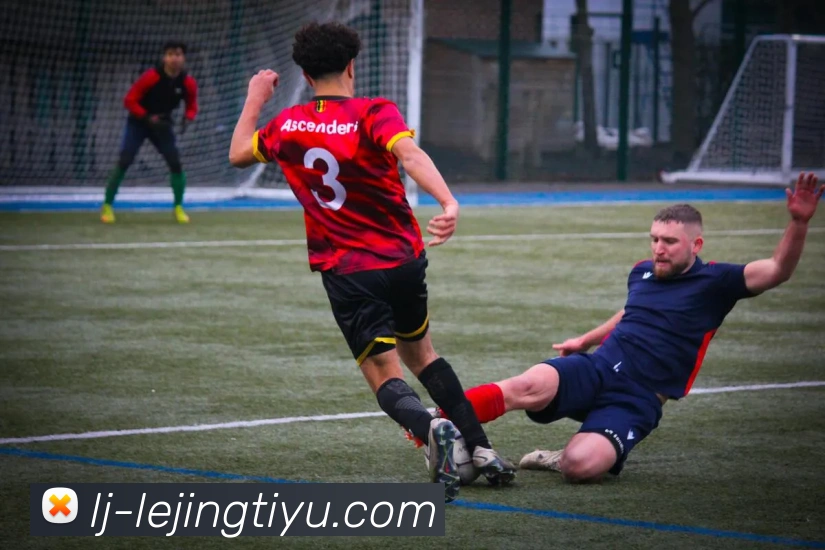 乐竞体育平台生态图